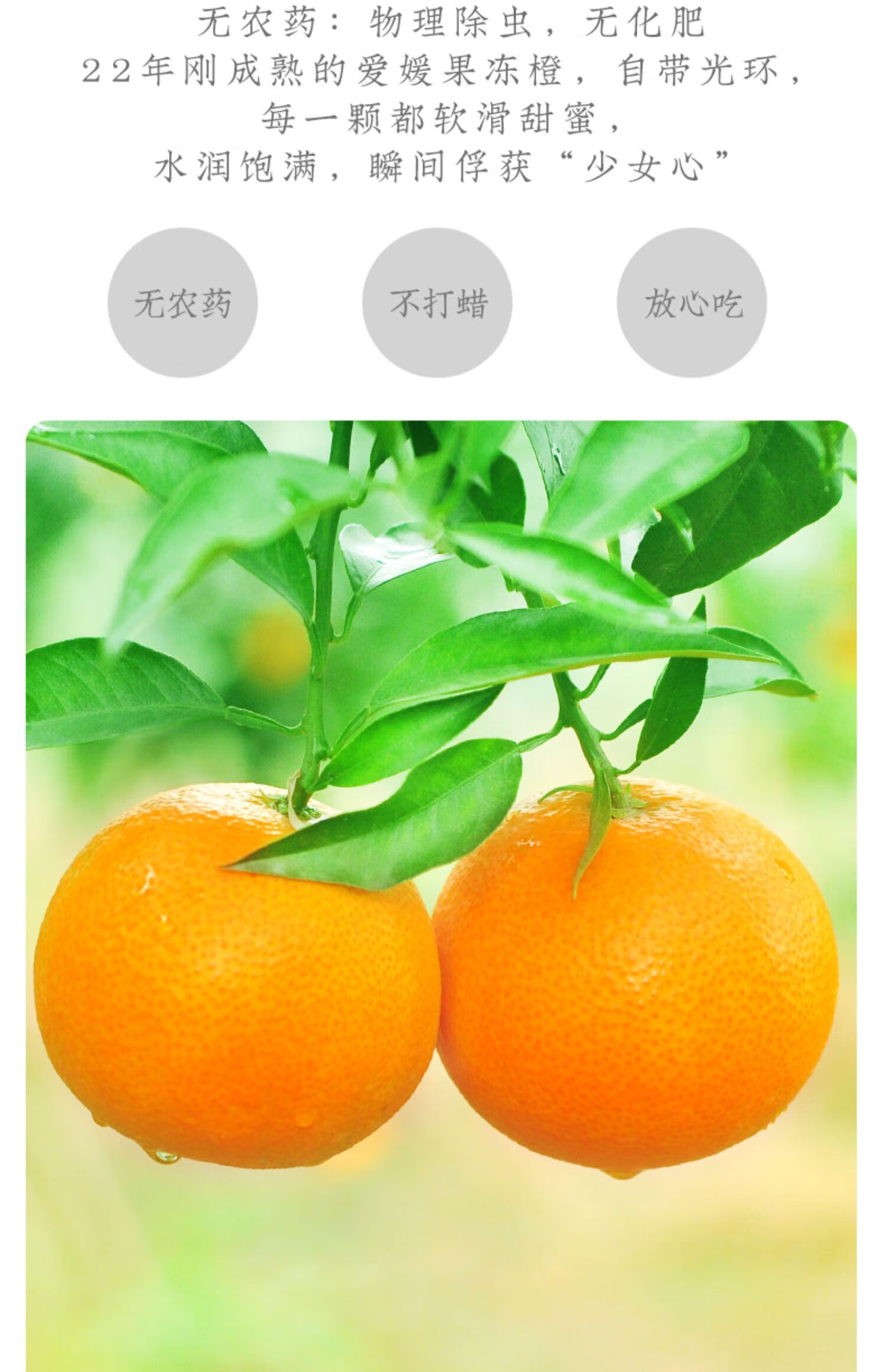 果园购物_鲜果团购_天天果园团购