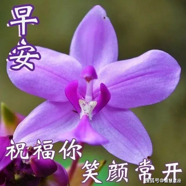 win8我的电脑打不开_电脑打开windows就卡住_电脑打开wifi设置