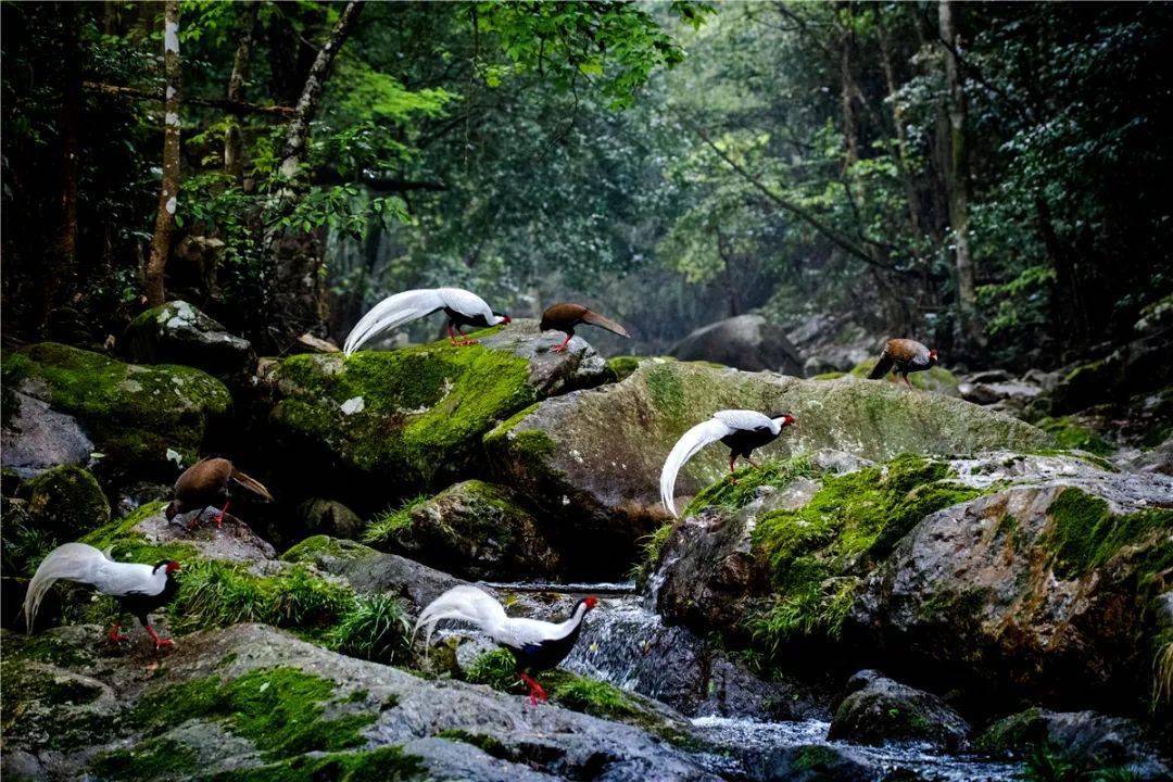 本地源是什么_ubuntu 本地源_本地源文件是什么