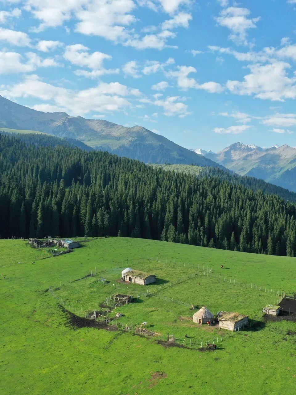 ubuntu 本地源_本地源是什么_本地源文件是什么