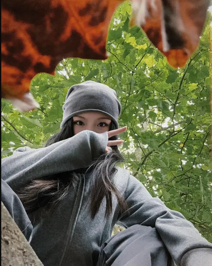 疯子官网电脑版下载_疯子2021软件_电脑疯子官网