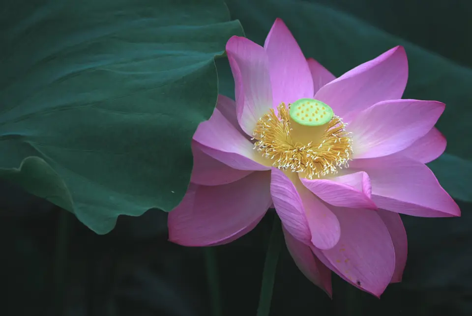 安装文件的后缀名_安装文件的文件名一般是_deb文件安装