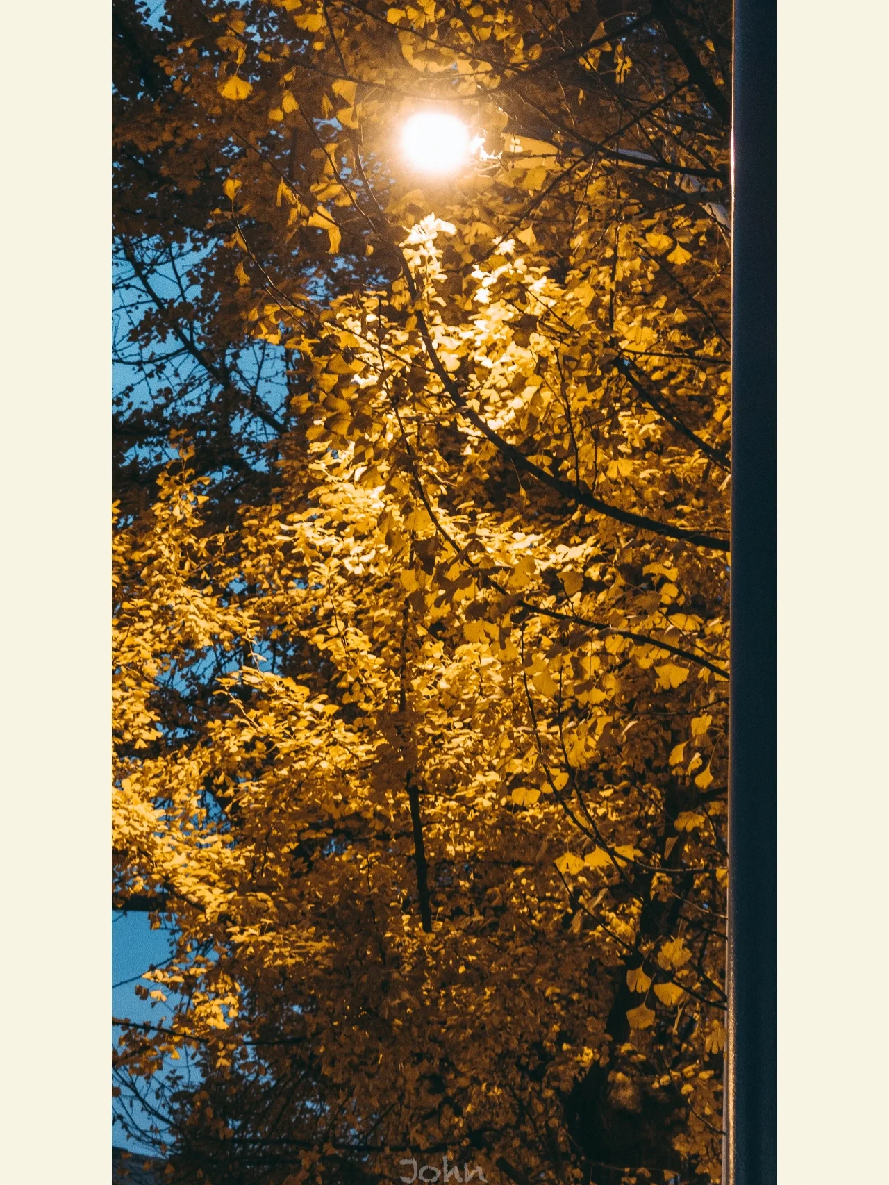 d盘raw_磁盘文件系统raw_d盘文件系统raw