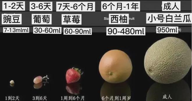 新生儿吃好奶打嗝_新生儿吃完奶经常打嗝_新生儿吃奶打嗝了还要吃