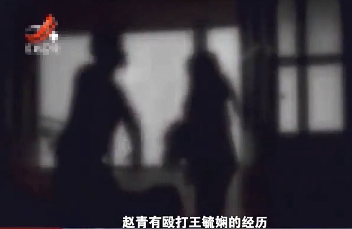 北京朝阳医院宋学红返聘_朝阳医院宋学红医生_朝阳医院宋学红特需号