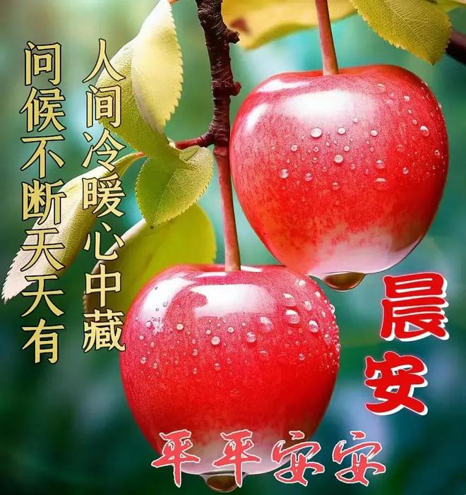 acaddwt_acaddwt模板_acaddwt
