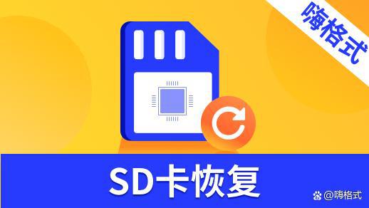 内存卡数据恢复方法_内存卡恢复内存_内存恢复卡数据方法有哪些