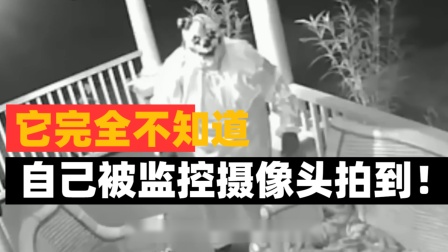 摄像监控头电脑系统怎么连接_监控摄像头电脑_电脑摄像头监控系统