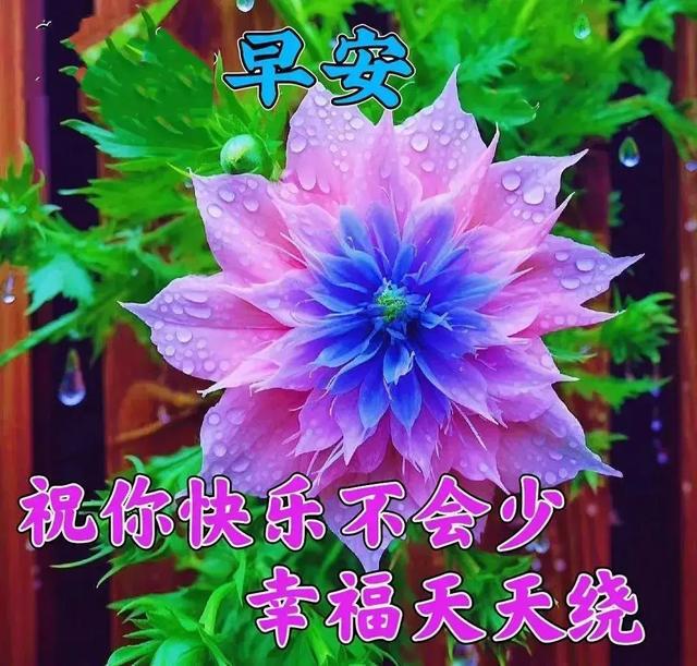 周末暂住证北京可以办吗_北京暂住证周六周日可以办理吗_北京 周末 暂住证吗
