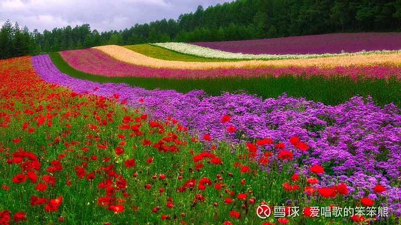 操作权限设置_您需要权限来执行此操作 桌面_操作权限管理
