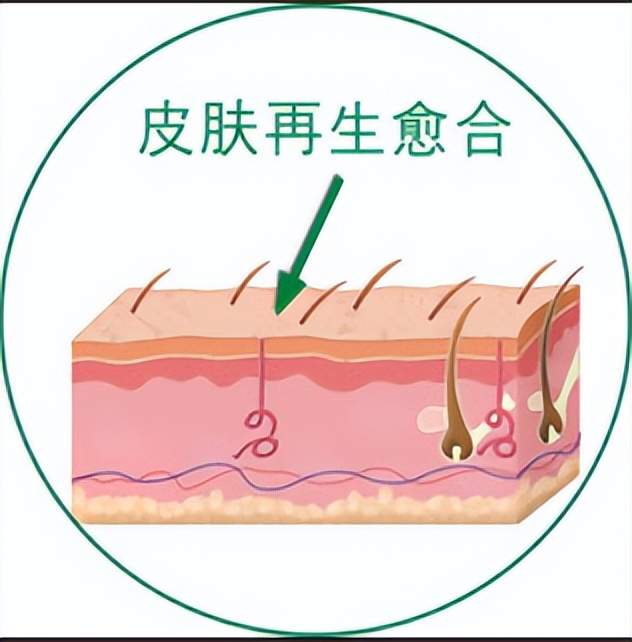 百会crm登录网站_百会crm系统_百会crm 破解版