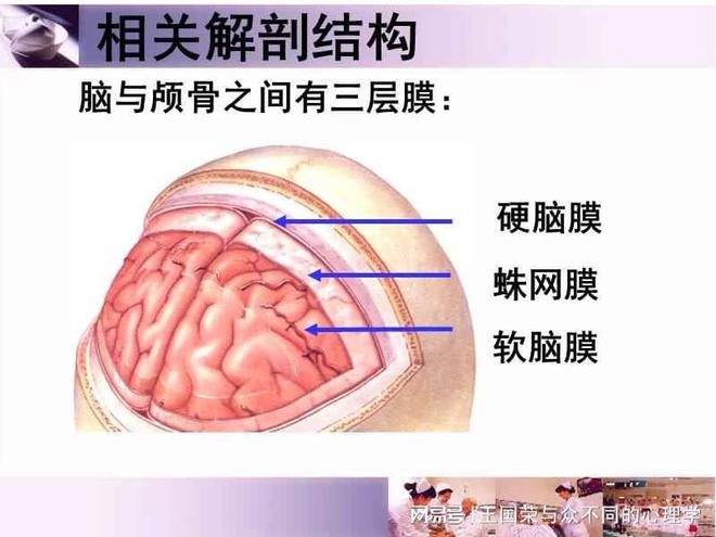 文档恢复到上一个保存_720文档恢复_文档恢复方法