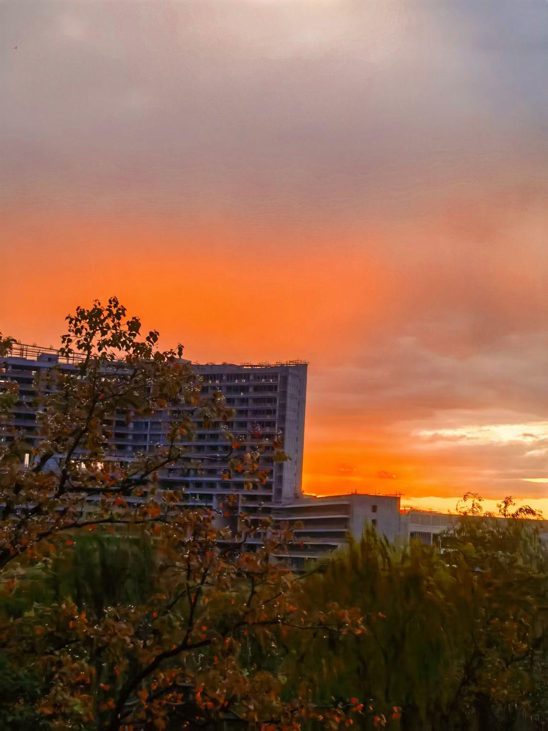 司机突发心梗乘客全是医护_司机招聘c1小车司机_recovermyfiles司机