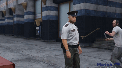 盗版警察模组_gta5盗版警察mod_盗版警察模拟器
