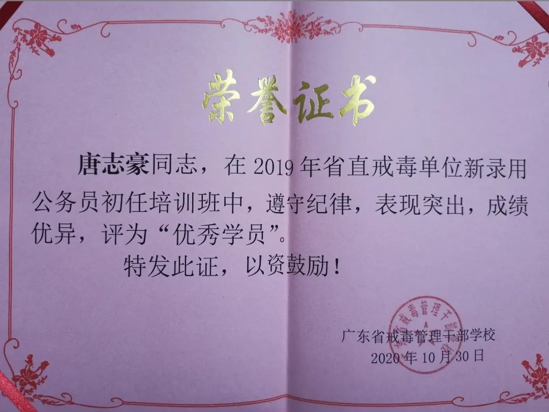 维基政府_身份政治 维基_维基怎么上