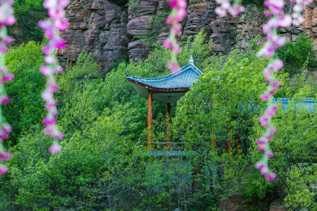 朝阳的大医院_北京朝阳区大屯医院电话_北京朝阳区朝阳医院电话