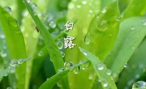 成都新三板上市公司_成都升拓新三板_成都新三板公司