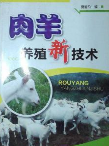 养殖高效肉羊健康吗_肉羊高效养殖技术书_肉羊健康高效养殖