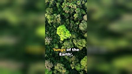 fedora 9 kernel_fedora 9 kernel_fedora 9 kernel