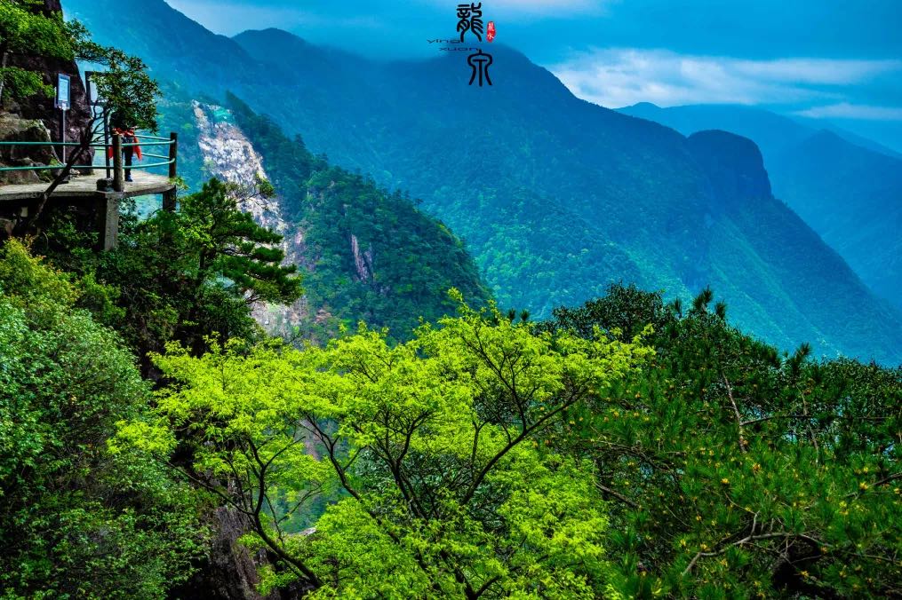 iqs.exe_iqs.exe_iqs.exe