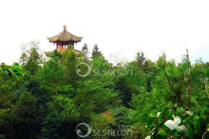 济南市匡山小区_济南市匡山_济南市匡山小学郑广芬