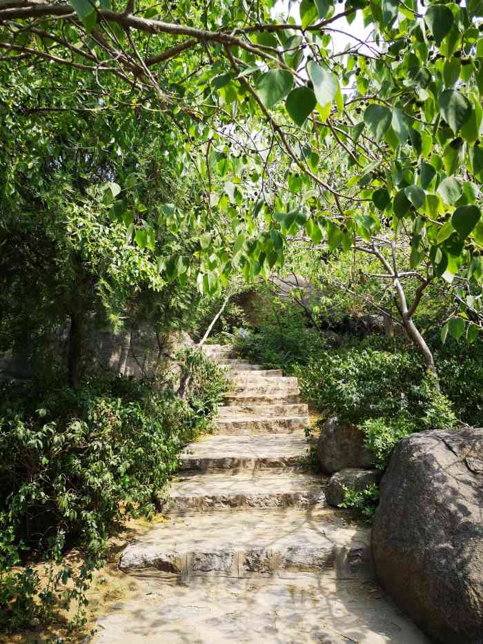济南市匡山小学郑广芬_济南市匡山_济南市匡山小区