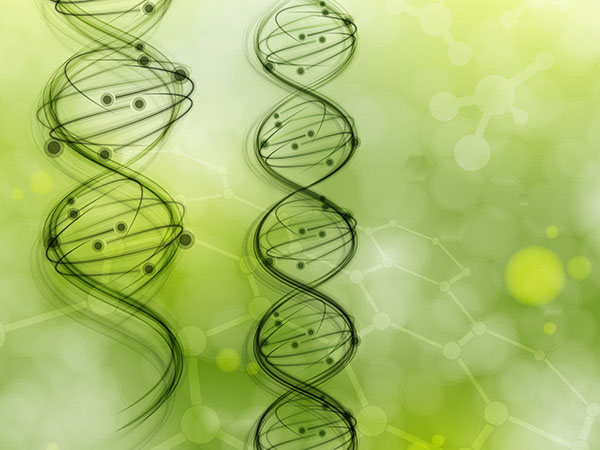 克罗恩病理诊断_克罗恩病理_克罗恩病ct表现