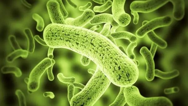 克罗恩病理_克罗恩病ct表现_克罗恩病理诊断