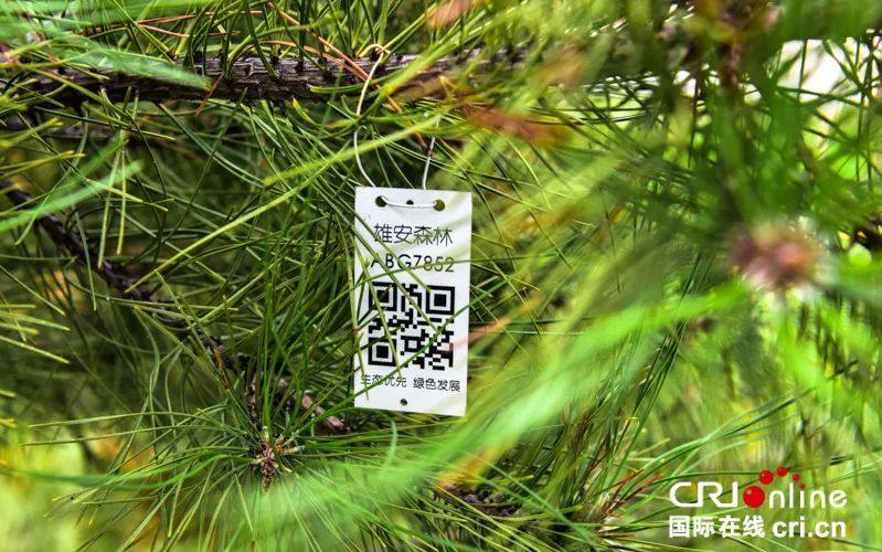 证号码和姓名大全_姓名证件号码和证件类型大全_生分证号码名字大全