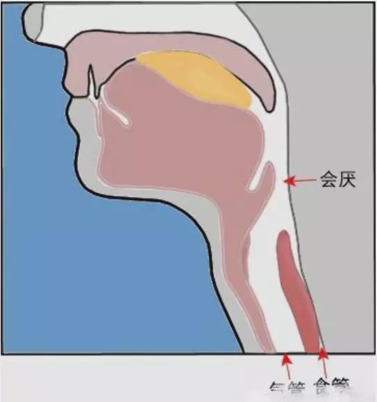 新生儿吃好奶打嗝_新生儿吃奶打嗝了还要吃_新生儿吃完奶经常打嗝