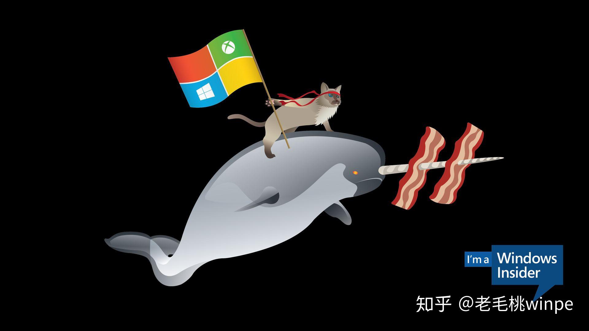 对齐的拼音_对齐方式有哪几种_win8 4k对齐