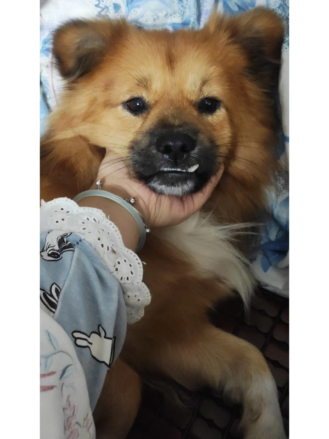 新生儿白眼球发蓝_新生儿白眼珠发蓝_新生儿白眼珠蓝色