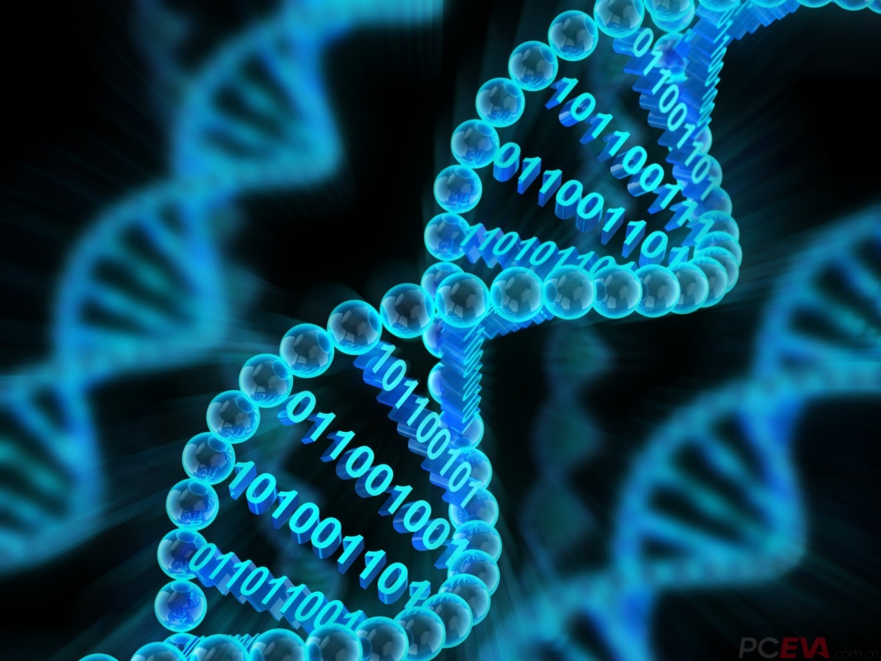 计算机的内存储器外存储器_计算机的内存存储器比外存储器_存储器内存计算机外存的区别