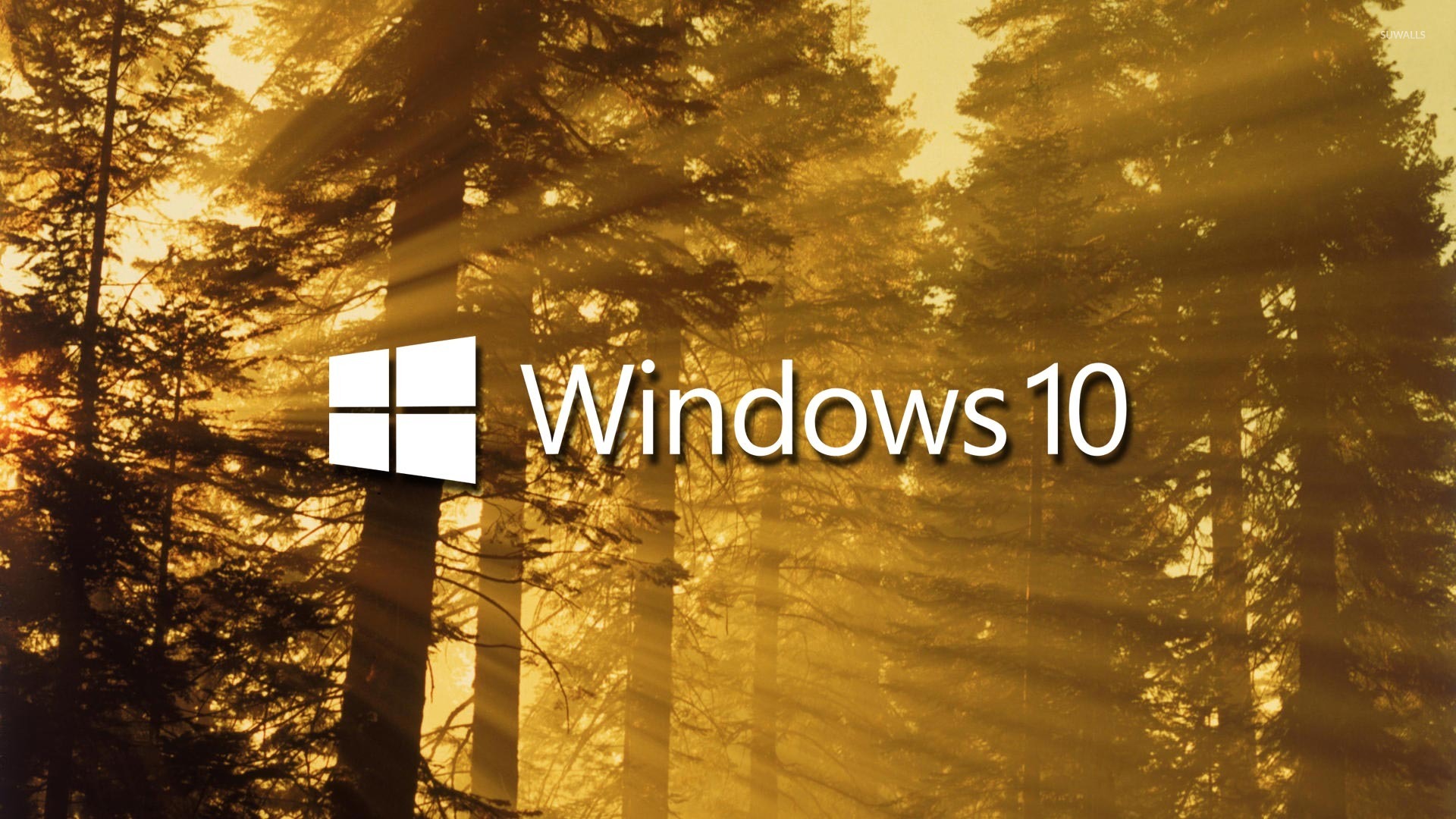 windowsxp怎么升级7_升级windows10_升级windows11失败