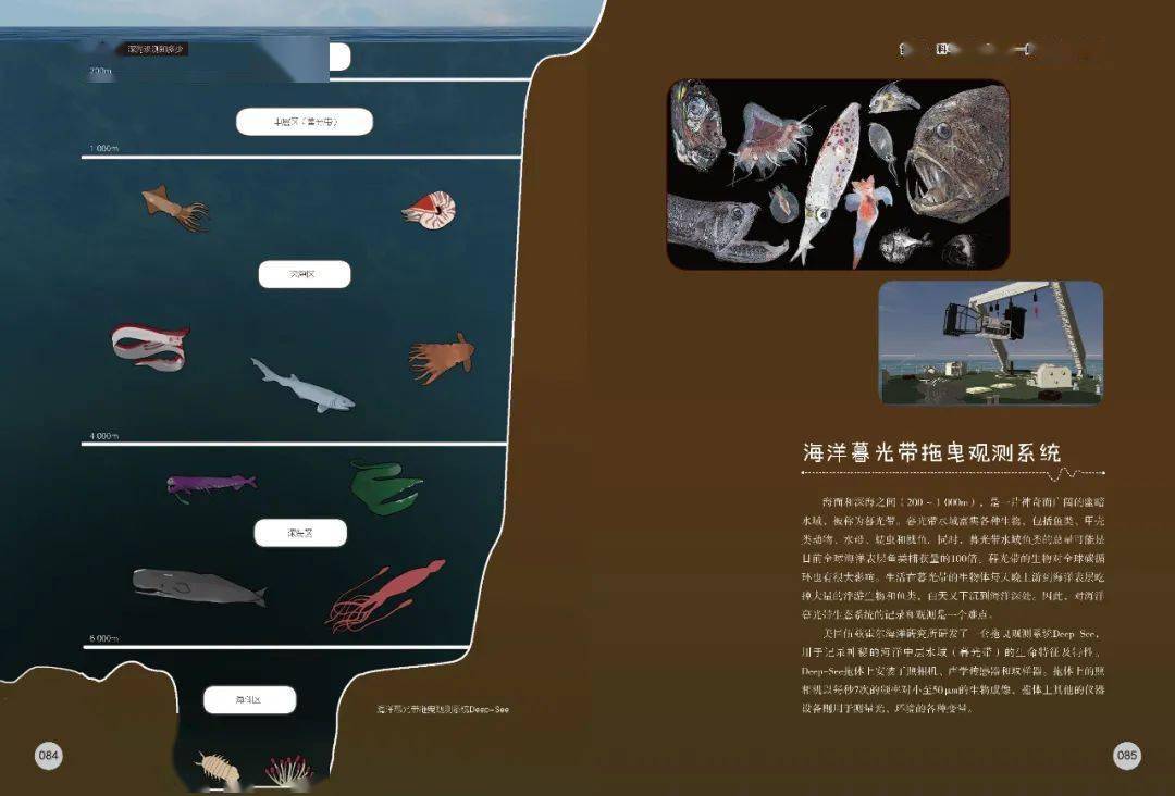 ralling in the deep_ralling in the deep_ralling in the deep