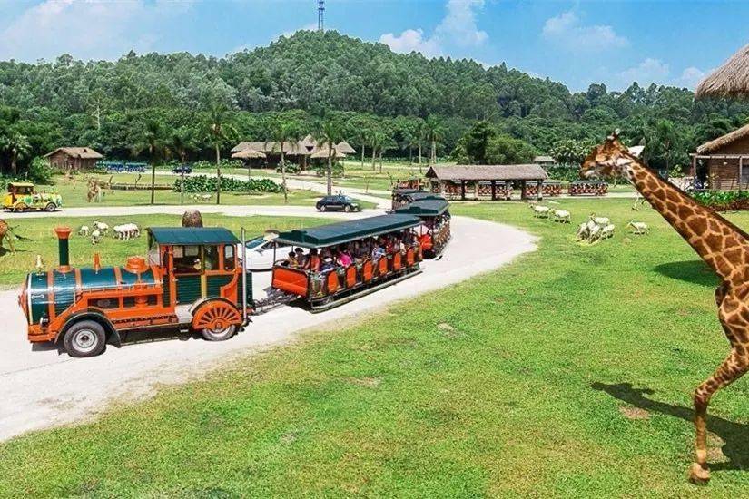 北京市朝阳区大屯医院_北京朝阳区大医院有哪些_朝阳医院大望路分院