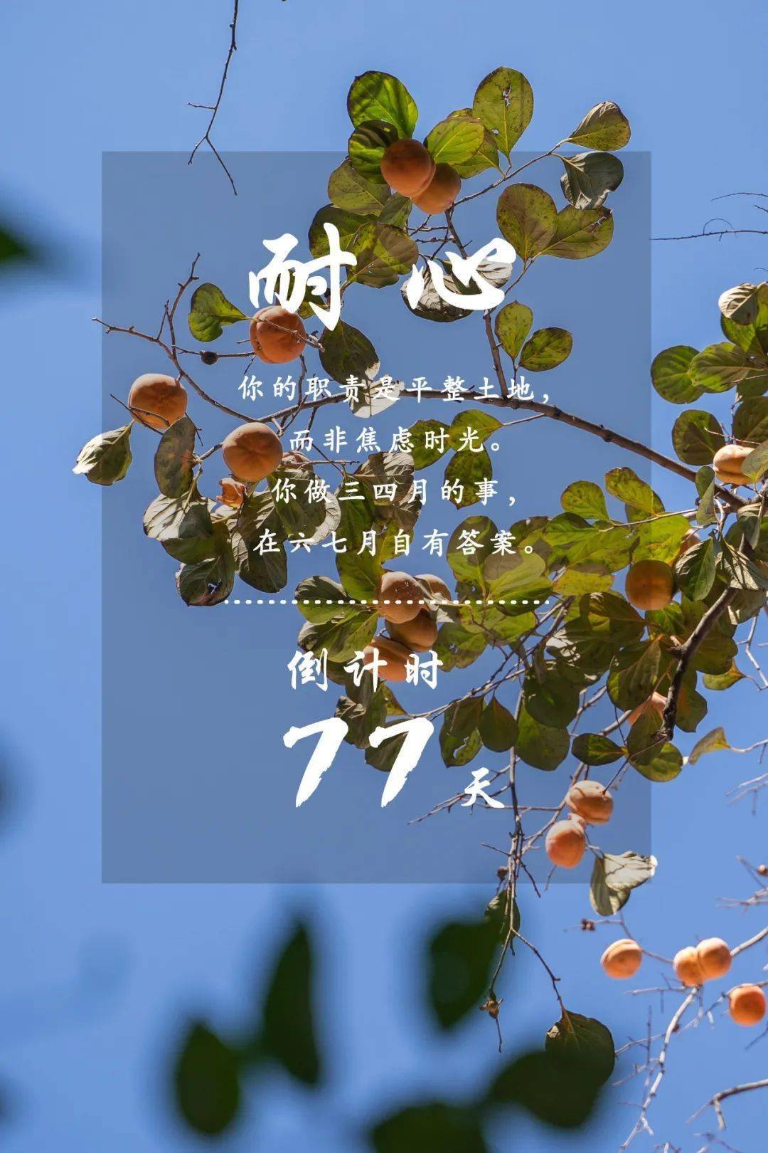 急性白血病活了20天_急性白血病存活期多久_急性白血病活多久