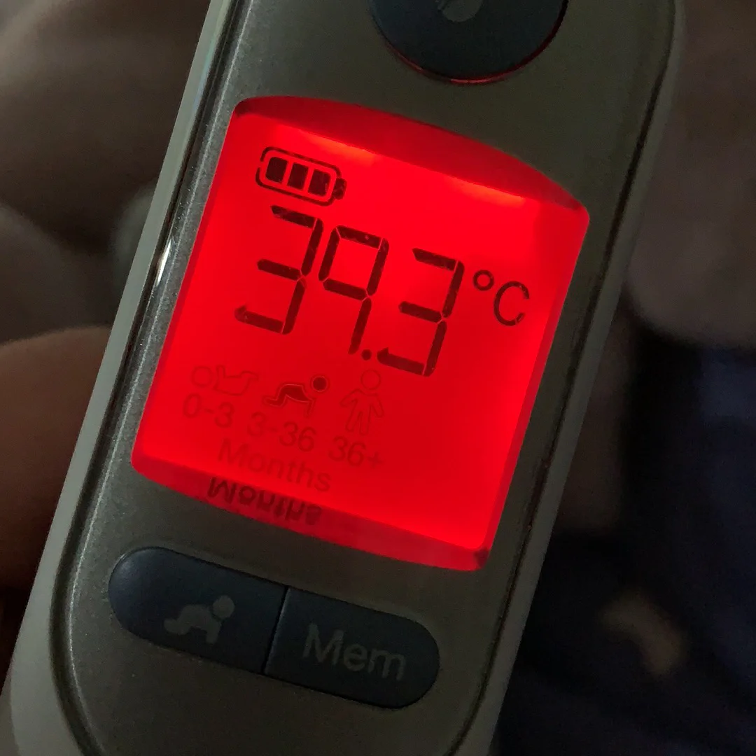 呼吸道合胞病毒培养_呼吸道合胞病毒/分离和提纯_呼吸合胞体病毒