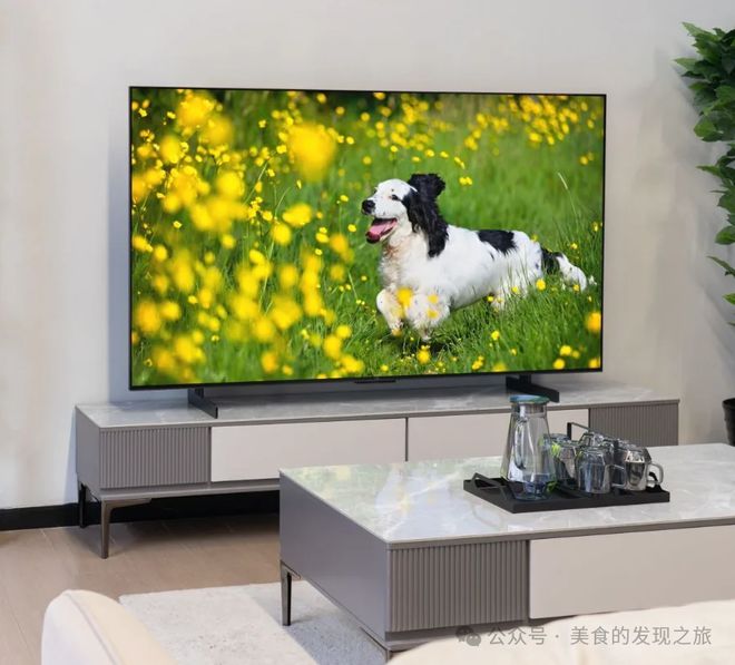 现在电视机什么牌子好_电视牌子机好现在还能用吗_现在电视机哪个品牌质量好