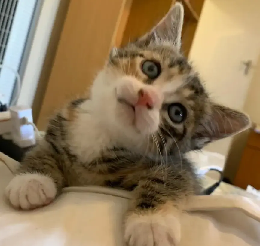 端口工具管理系统有哪些_系统端口管理工具_端口管理软件