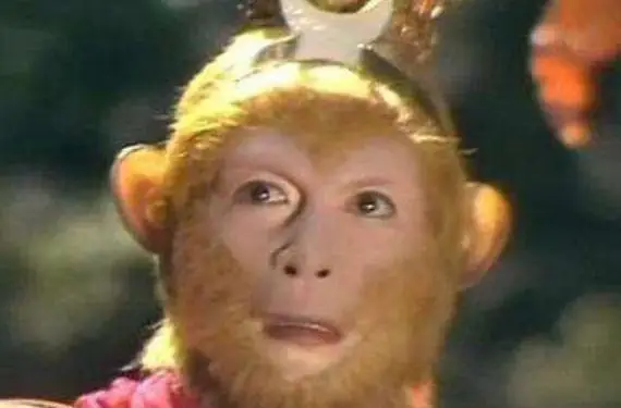 用名字怎么查身份证号_拿姓名查身份证号_用姓名查身份证号