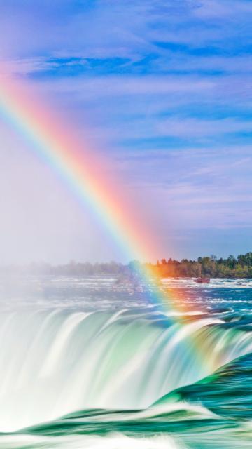 悸安冲剂_安睧药的用途_悸