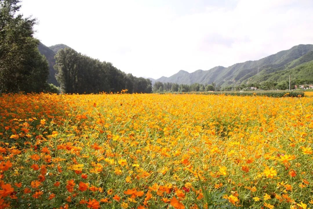 朝阳县镇医院电话多少_朝阳县镇医院院长是谁_朝阳镇县医院