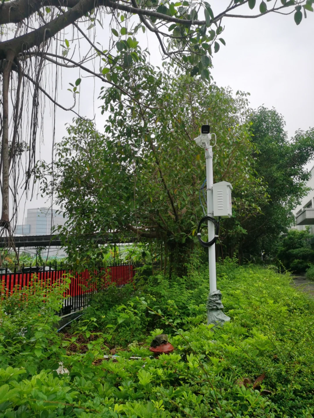 监控布线网络怎么设置_网络监控怎么布线_监控安装网络布线