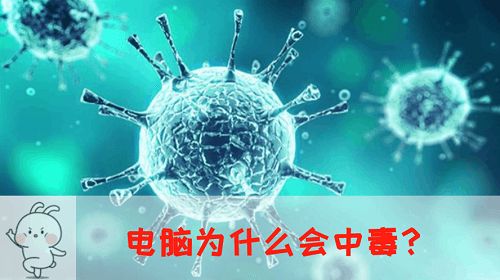 文件型病毒通常隐藏在_隐藏病毒型文件怎么安装_病毒隐藏文件夹.cmd