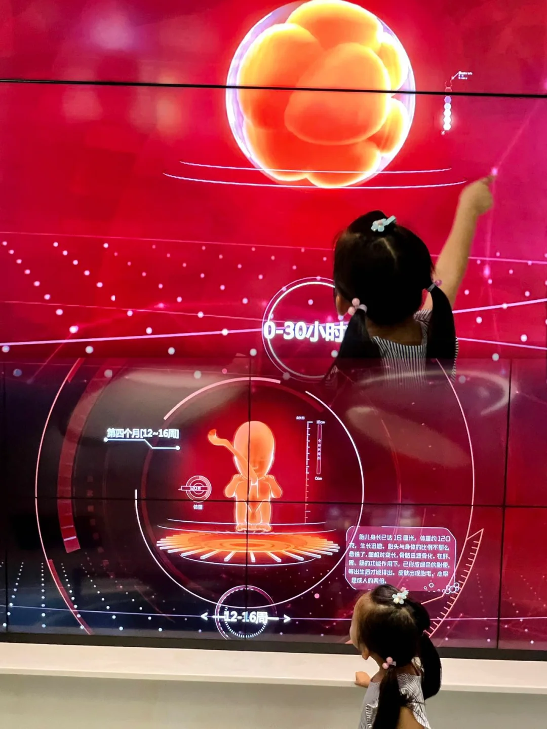 工作原理图英语_工作原理英文翻译_gps工作原理简述英文