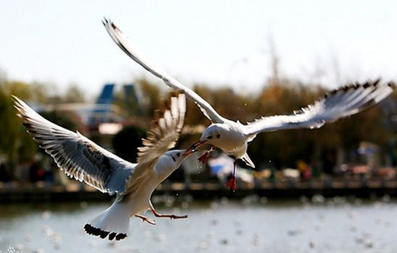 qt float int_qt float int_qt float int