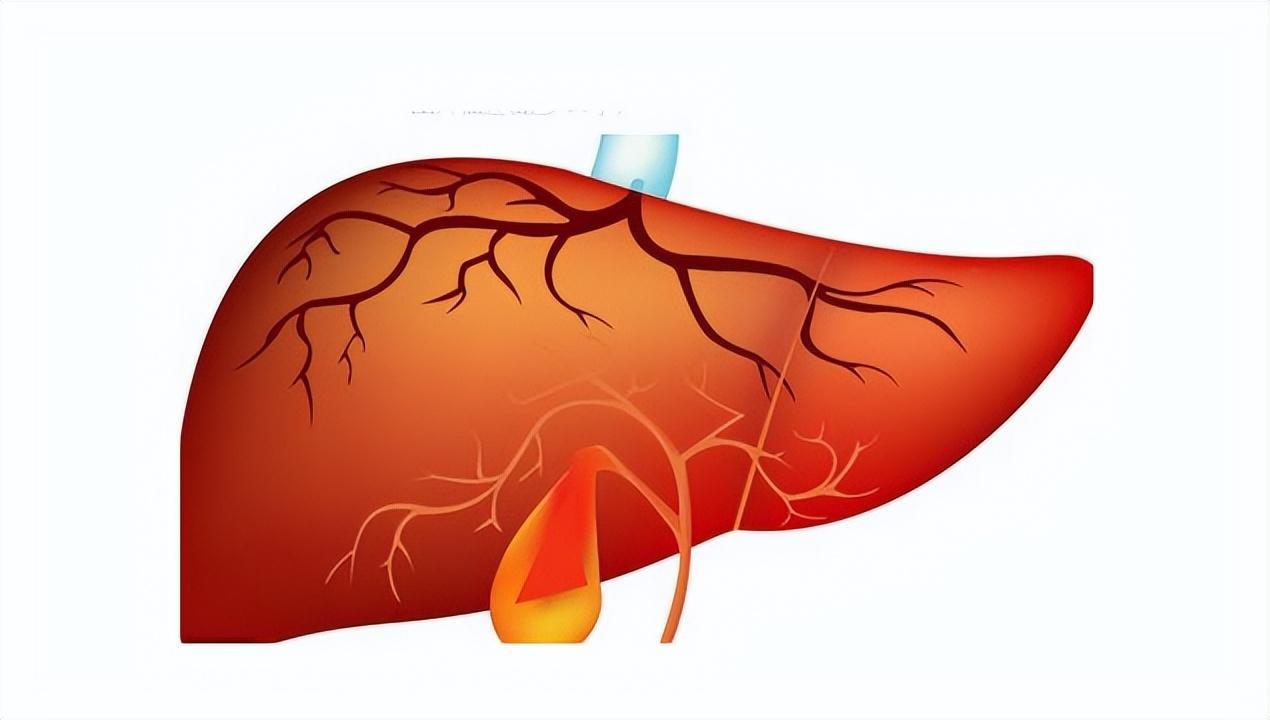 中医治疗胃溃疡临床经验_胃溃疡中医治疗方法_中医如何治胃溃疡
