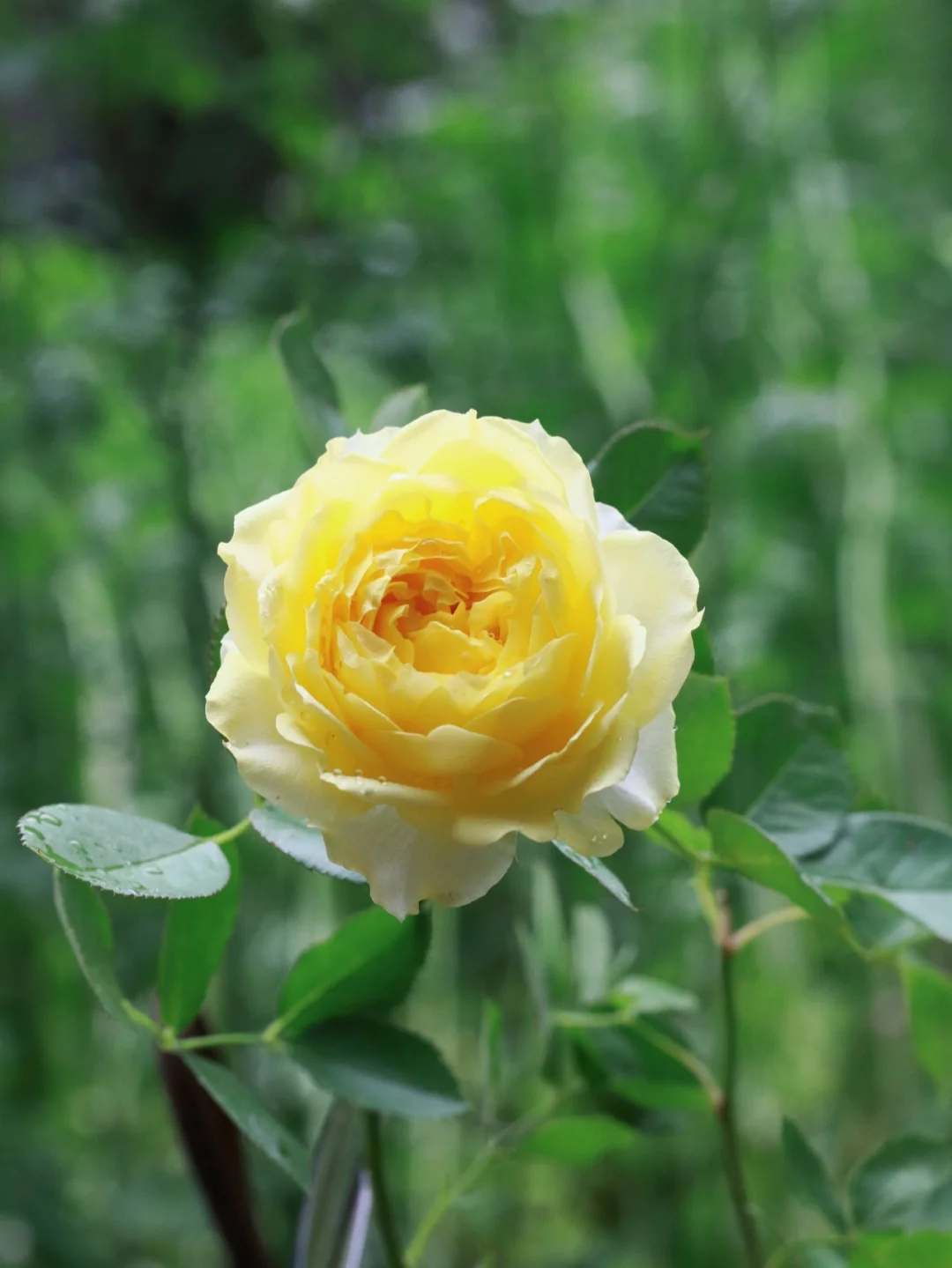 wuaucltexe系统错误_wuaucltexe_wuaucltexe