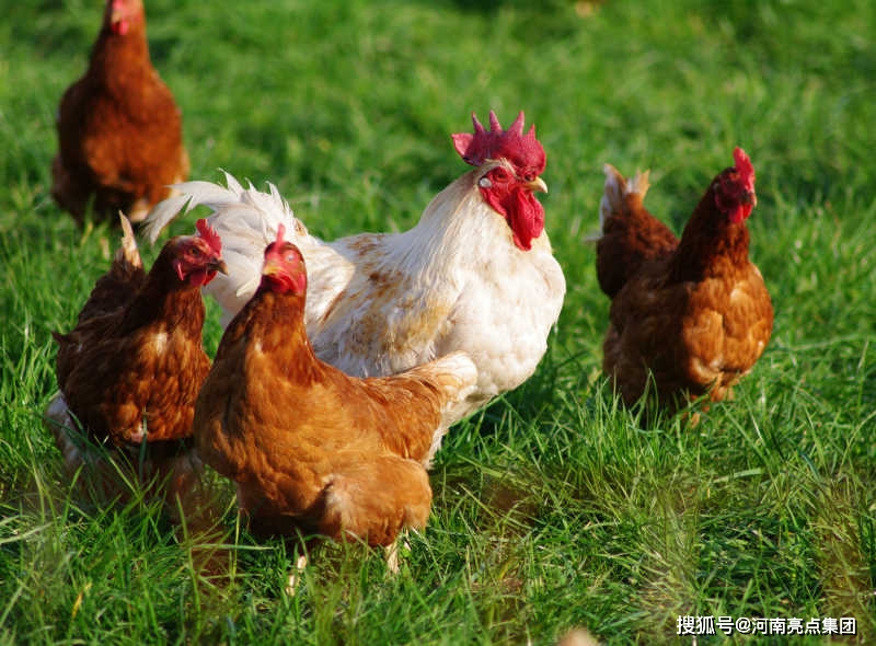 固态硬盘会导致蓝屏吗_固态蓝屏硬盘导致会卡顿吗_固态蓝屏硬盘导致会死机吗